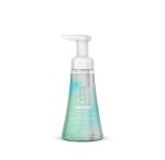 foaming hand wash – coconut water, 10 fl oz
