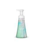foaming hand wash – coconut water, 10 fl oz