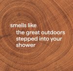 men body wash 3-count bundle – cedar + cypress - Image 3