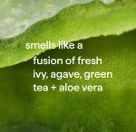 foaming hand wash – green tea + aloe, 10 fl oz - Image 4