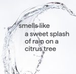 sweet water gel hand wash 3-count bundle - Image 3