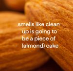 daily wood cleaner – almond, 28 fl oz - Image 4