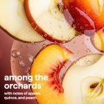 super shine liquid dish soap starter set – among the orchards - Image 7