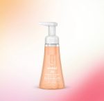 foaming hand wash – sandalwood + cedar, 10 fl oz - Image 2