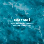 hydrating serum hand wash – sea + surf, 10 oz - Image 8
