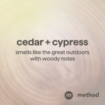 men body wash – cedar + cypress, 18 fl oz - Image 4
